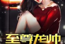 小说《至尊龙帅》在线章节阅读-贝壳文学