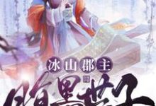 冰山郡主，腹黑世子心尖宠小说全文哪里可以免费看？-贝壳文学