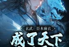 完结版《玄武:臣本麻衣,成了天下锦绣霸主》章节阅读-贝壳文学