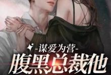 《谋爱为营：腹黑总裁他把我宠上天》小说主角秦南栀越九黎章节章节免费在线阅读-贝壳文学