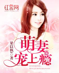 已完结小说《萌妻宠上瘾》在线章节阅读