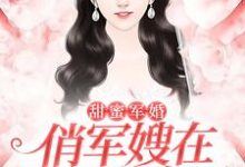 《甜蜜军婚:俏军嫂在八零赚麻了》小说大结局免费试读 苏染陆衡小说-贝壳文学