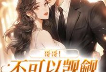 夏听晚霍行简小说在线章节免费阅读(霍律师的掌上明珠无弹窗无删减)-贝壳文学