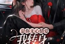是你无心情爱，我转身嫁人你急啥？这本小说完结了吗？免费查看最新章节-贝壳文学