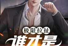 阮梨清沈灼小说叫什么（极限拉扯：谁才是爱情赢家免费阅读）-贝壳文学