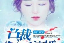 小说《名门婚宠:总裁不离婚》章节阅读-贝壳文学