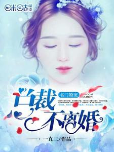 小说《名门婚宠：总裁不离婚》章节阅读