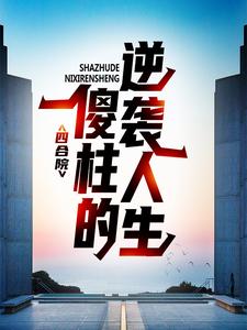 主人公叫何雨柱娄小娥的小说四合院：傻柱的逆袭人生在线阅读章节