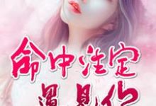主角叫向安若徐轩欧阳浩泽小说命中注定遇见你章节免费阅读-贝壳文学