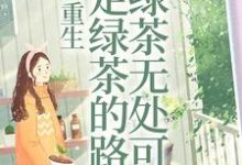 白娇傅砚礼的完整故事在哪里？读重生：走绿茶的路让绿茶无处可走小说-贝壳文学