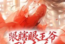 跟瞎眼王爷联手后，我打脸众渣 虞知知傅沉，跟瞎眼王爷联手后，我打脸众渣章节在线阅读-贝壳文学