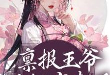禀报王爷，王妃有喜了！小说，禀报王爷，王妃有喜了！在线阅读-贝壳文学