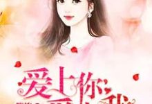 赵静静单昊天为主角的小说好看吗?免费读爱上你爱上我-贝壳文学