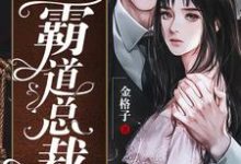 主人公叫钟念初玄夜凌的小说小娇妻的霸道总裁在线阅读章节-贝壳文学