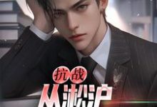 小说《抗战：从淞沪保卫战开始》章节阅读-贝壳文学