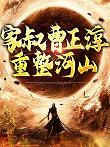 家叔曹正淳，重整河山小说，家叔曹正淳，重整河山曹长生