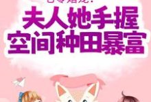 主角傅晓沈轻舟小说完结版在线阅读，七零婚宠！夫人她手握空间种田暴富免费看-贝壳文学