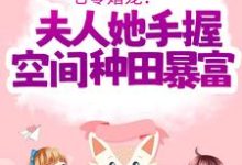 七零婚宠!夫人她手握空间种田暴富傅晓沈轻舟,七零婚宠!夫人她手握空间种田暴富章节在线阅读-贝壳文学