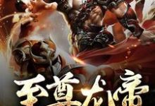 主角林霄小说至尊龙帝免费阅读-贝壳文学