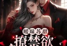 寻找能够免费阅读暧昧苏甜：撩禁欲太子爷入怀小说的平台-贝壳文学