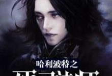 小说《哈利波特之死灵法师》在线章节阅读-贝壳文学