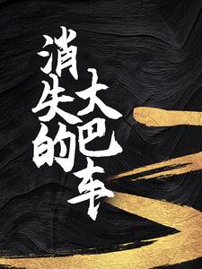 完结版《消失的大巴车》免费阅读