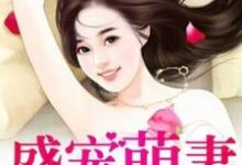 盛宠萌妻这本小说完结了吗?免费查看最新章节-贝壳文学