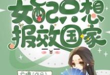 章序陆屿的故事在哪本书里?免费阅读快穿之女配只想报效国家-贝壳文学