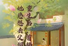 主人公程颂安崔元卿小说重生后,首辅夫人她总想去父留子在线章节阅读-贝壳文学