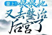 宋昭萧景珩的完整故事在哪里？读皇上！娘娘她又去整治后宫了小说-贝壳文学