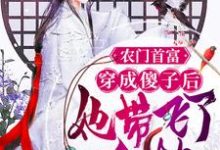 哪里能找到农门首富:穿成傻子后她带飞了全村小说的全部章节?-贝壳文学