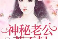 神秘老公惹不起小说有没有完结版在线？-贝壳文学