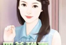 已完结小说《四爷甜妻疯狂宠》章节免费阅读-贝壳文学