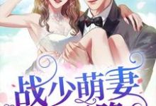 林棠晚战驰陆星宸陈萌为主角的小说叫什么?免费看战少萌妻从天降-贝壳文学