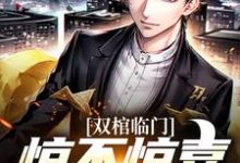 简明小说《双棺临门？惊不惊喜意不意外》在线阅读-贝壳文学