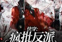 主角叫陆离乔宸枫的小说在哪阅读-贝壳文学