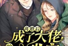 求离婚后，成了大佬的心尖宠小说免费资源-贝壳文学