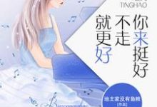 完结版《你来挺好,不走就更好》章节阅读-贝壳文学