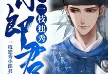 小说《一枝独秀小郎君》章节免费阅读-贝壳文学
