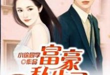 《富豪私生子》小说大结局免费试读 陆海晨叶雪辰陆鸿图黑水仙小说-贝壳文学