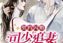 小说《契约闪婚：司少追妻火葬场》在线章节阅读-贝壳文学