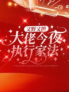 寻找又野又撩，大佬今夜执行家法小说的最新更新章节