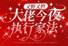 又野又撩，大佬今夜执行家法小说，又野又撩，大佬今夜执行家法最新章节-贝壳文学