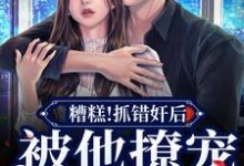 糟糕!抓错奸后,被他撩宠诱哄小说无弹窗阅读的网站推荐-贝壳文学