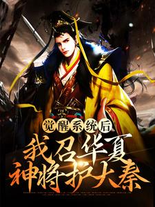 主角嬴荡小说完结版在线阅读，觉醒系统后，我召华夏神将护大秦免费看