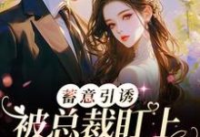小说《蓄意引诱！被总裁盯上的日日夜夜》章节免费阅读-贝壳文学