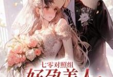 七零对照组：好孕美人嫁军官后赢麻小说，七零对照组：好孕美人嫁军官后赢麻沈稚柚顾野-贝壳文学