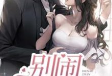 小说《别闹，战先生》章节阅读-贝壳文学
