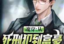 《魂穿:从死刑犯到富豪的铁血之路》小说大结局免费试读 郑庆仁董庆庆小说-贝壳文学