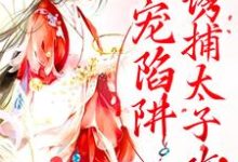 姜怜衣沈临魏洐之的故事在哪本书里？免费阅读甜宠陷阱：诱捕太子攻略-贝壳文学